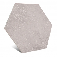 Aspdin Grey Hex25 Non-slip 22x25 (Box 1m2)