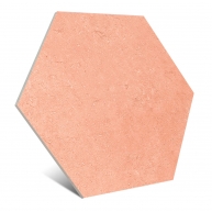 Aspdin Cotto Hex25 Non-slip 22x25 (Box 1m2)