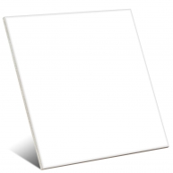 Basic White 25x25 (Box 1.00m2)