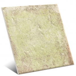 Tempo Moss Gloss 11x11 (Boîte 0,5 m2)