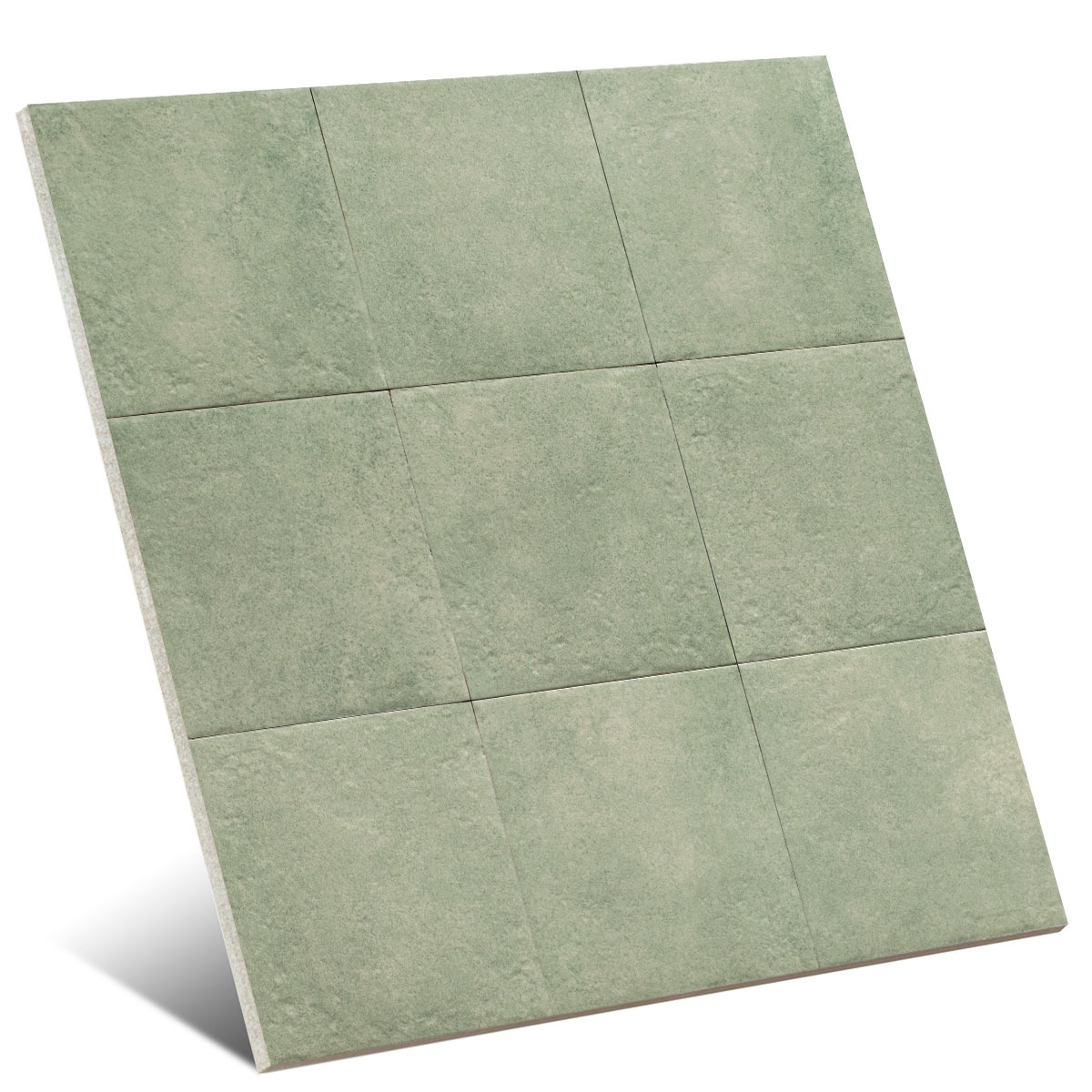 Jardin Vert Saison Verte 20x20