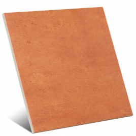 AT Boi Coto Antidérapant 33.3x33.3 (Boîte 1.33m2)