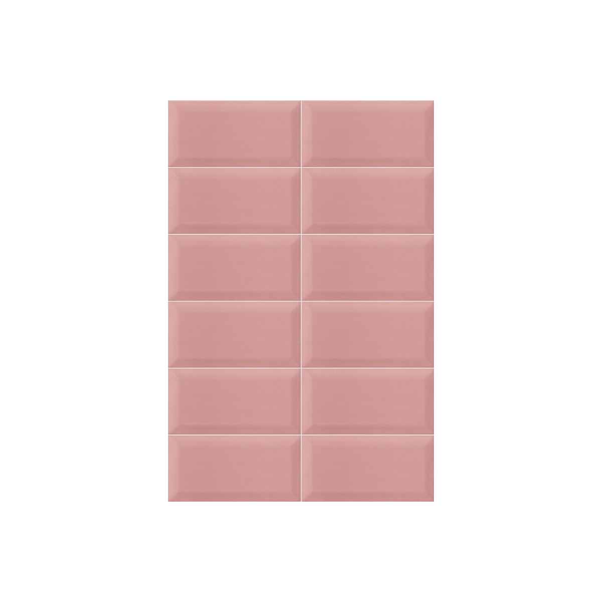 Bissel rosa brillo 10x20 (m2)