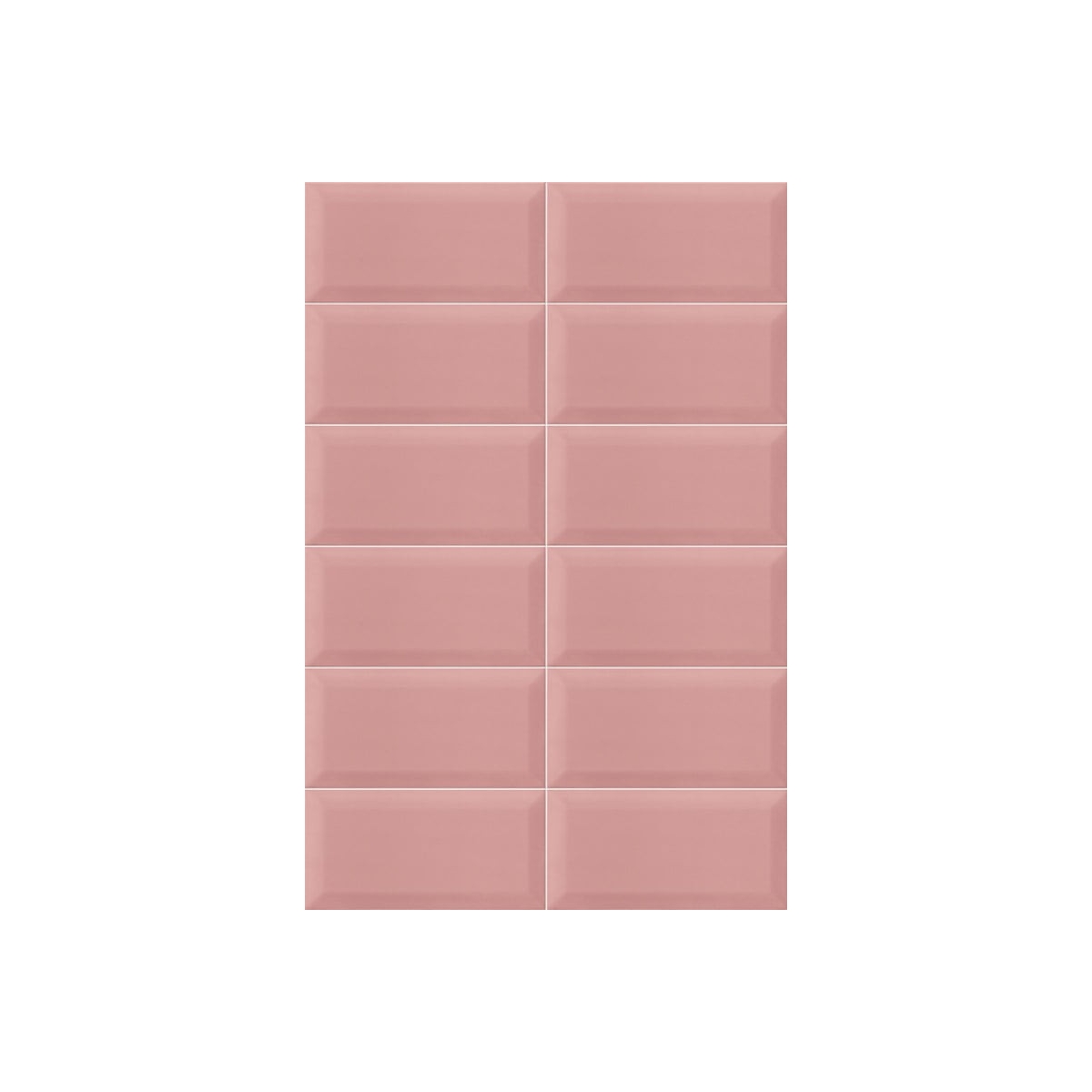 Bissel rose brillant 10x20 (m2)