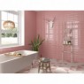 Bissel pink ceramic tiles 10x20 red paste single firing
