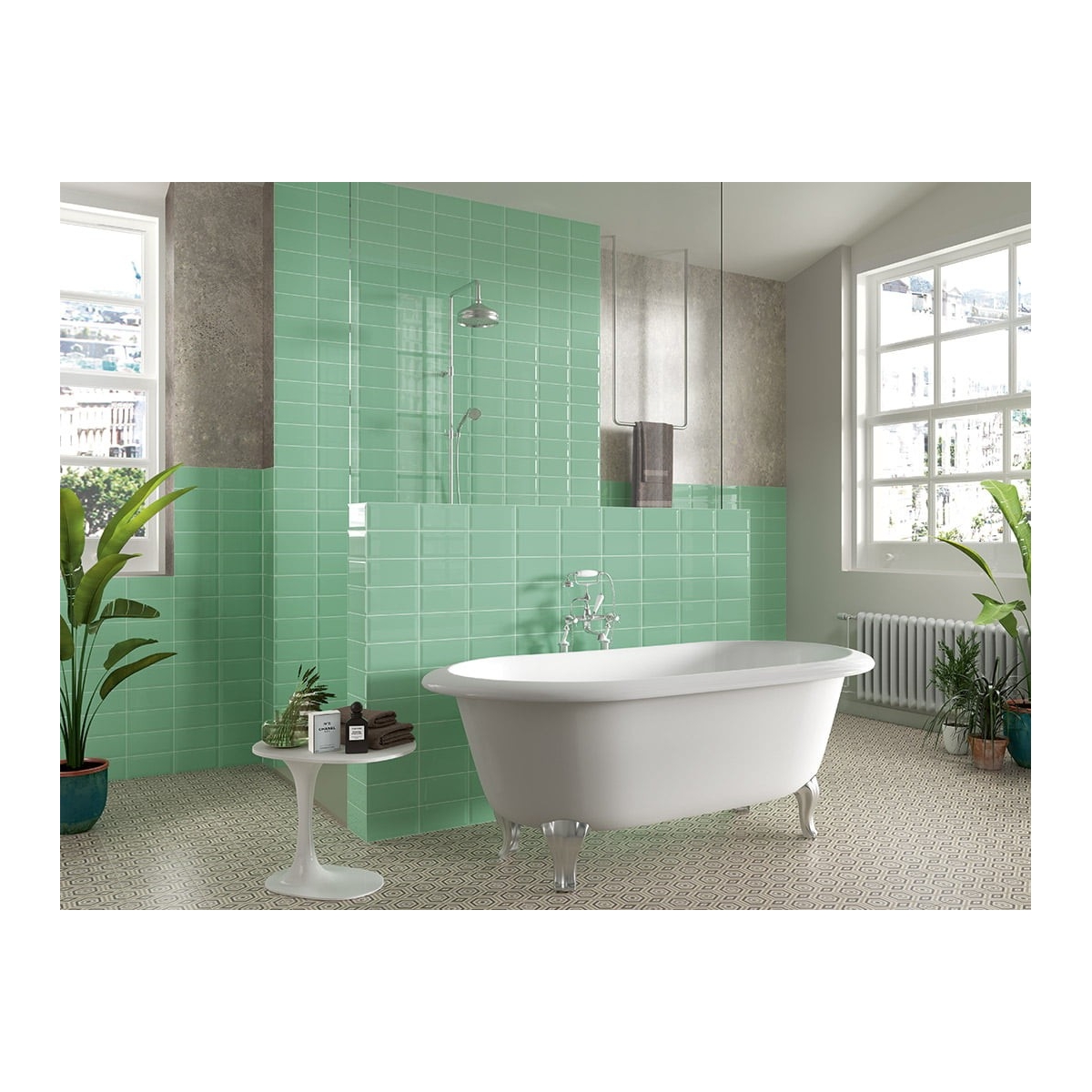 Bissel emerald ceramic tiles 10x20 red paste single firing