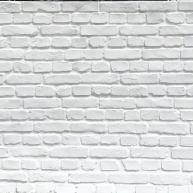 TOTALStone Panneau de brique rustique blanc 285x130 (3.70m2)
