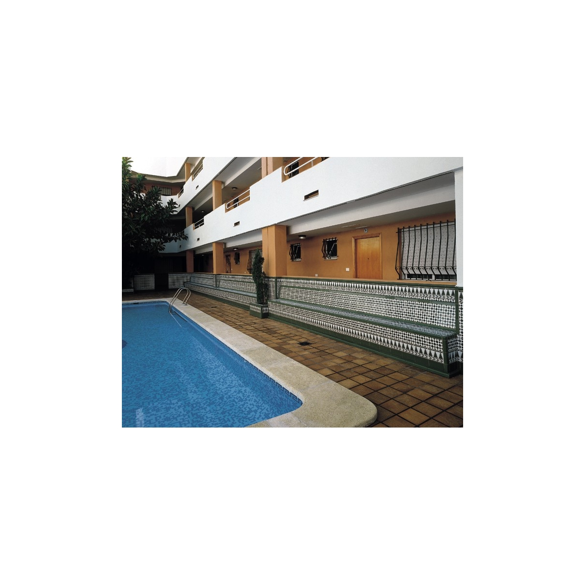 Bande Verte 2.5x20 (ud) - Altea Green Series - Marque Mainzu