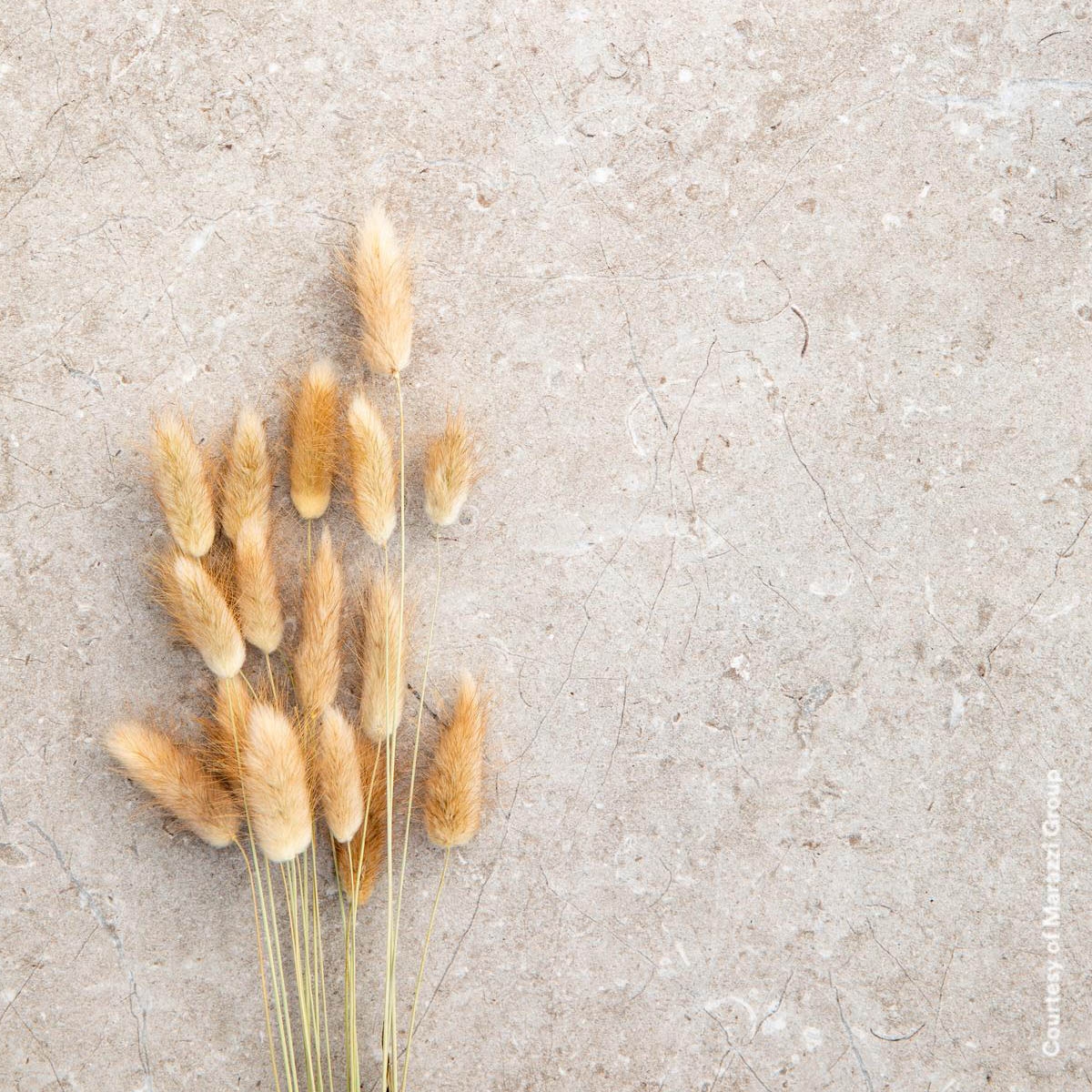 Exterior com Pavimento Antiderrapante Limestone20 Taupe 60x120