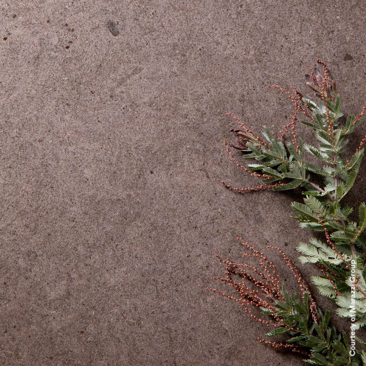 Interior con Pavimento Moon Anthracite 120x120