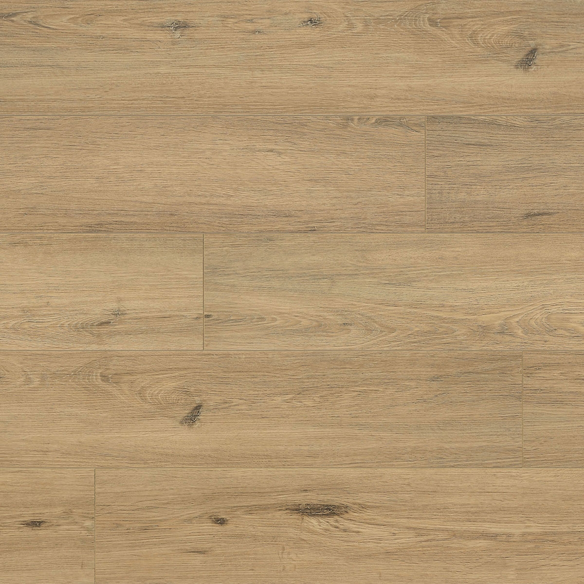 Rigio Bore 122x22.9 (Caja 2.24m2)