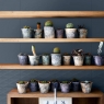 Ambiente Chill Blue 25x76 cm
