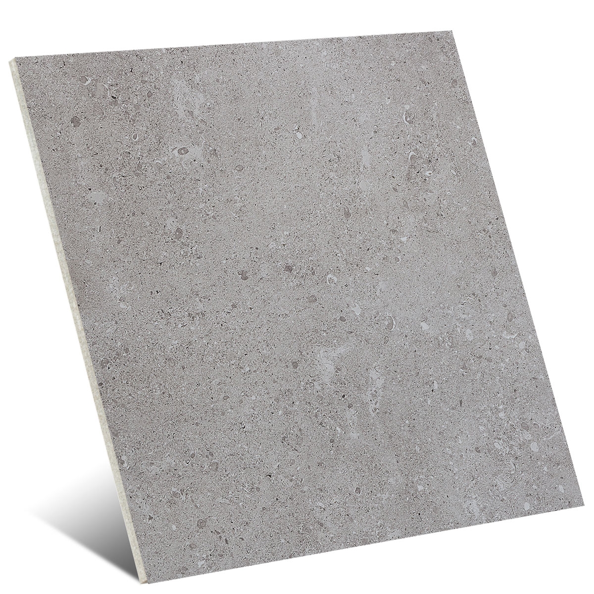 Mystone Gray Fleury20 Grigio Rt Antidérapant 60x60 cm (Boîte 0,72 m2)