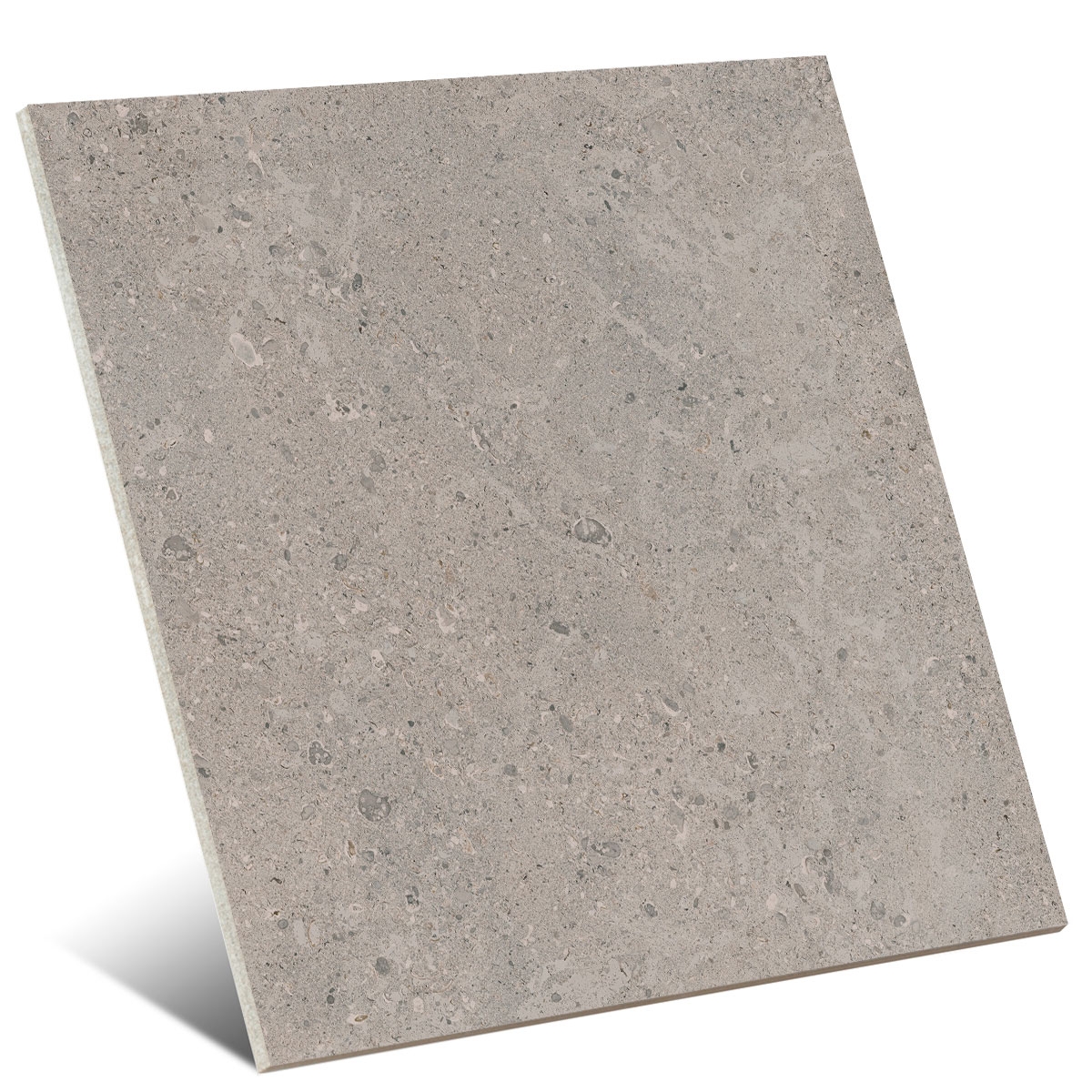 Mystone Grey Fleury Taupe 60x60 (Boîte 1,08 m2)