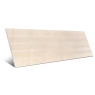 Sandstone Shell 40x120 (Box 1.44m2)