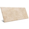 Modular Borgogna Stone Beige 22x44