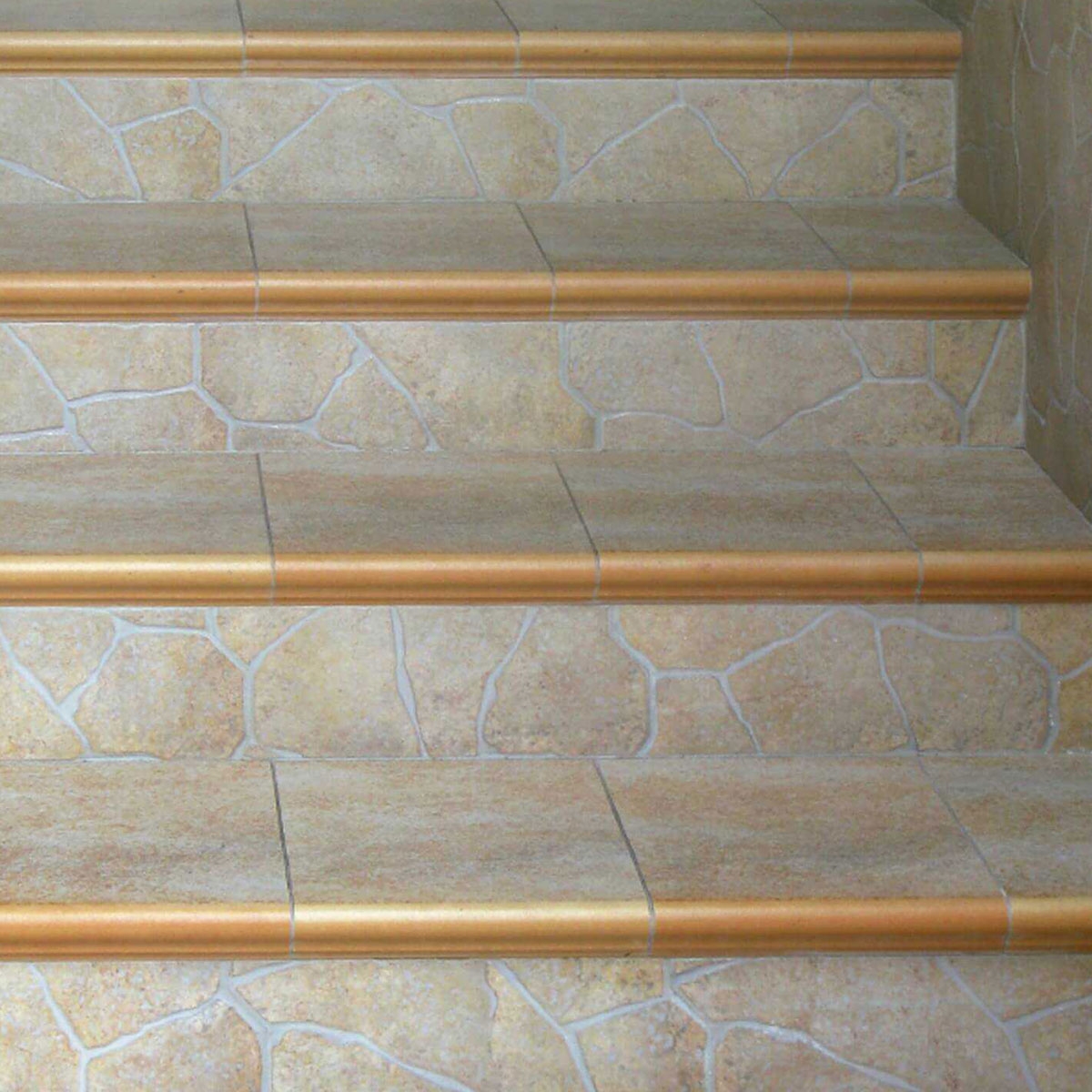 Escalera con Torelo T255 5x36