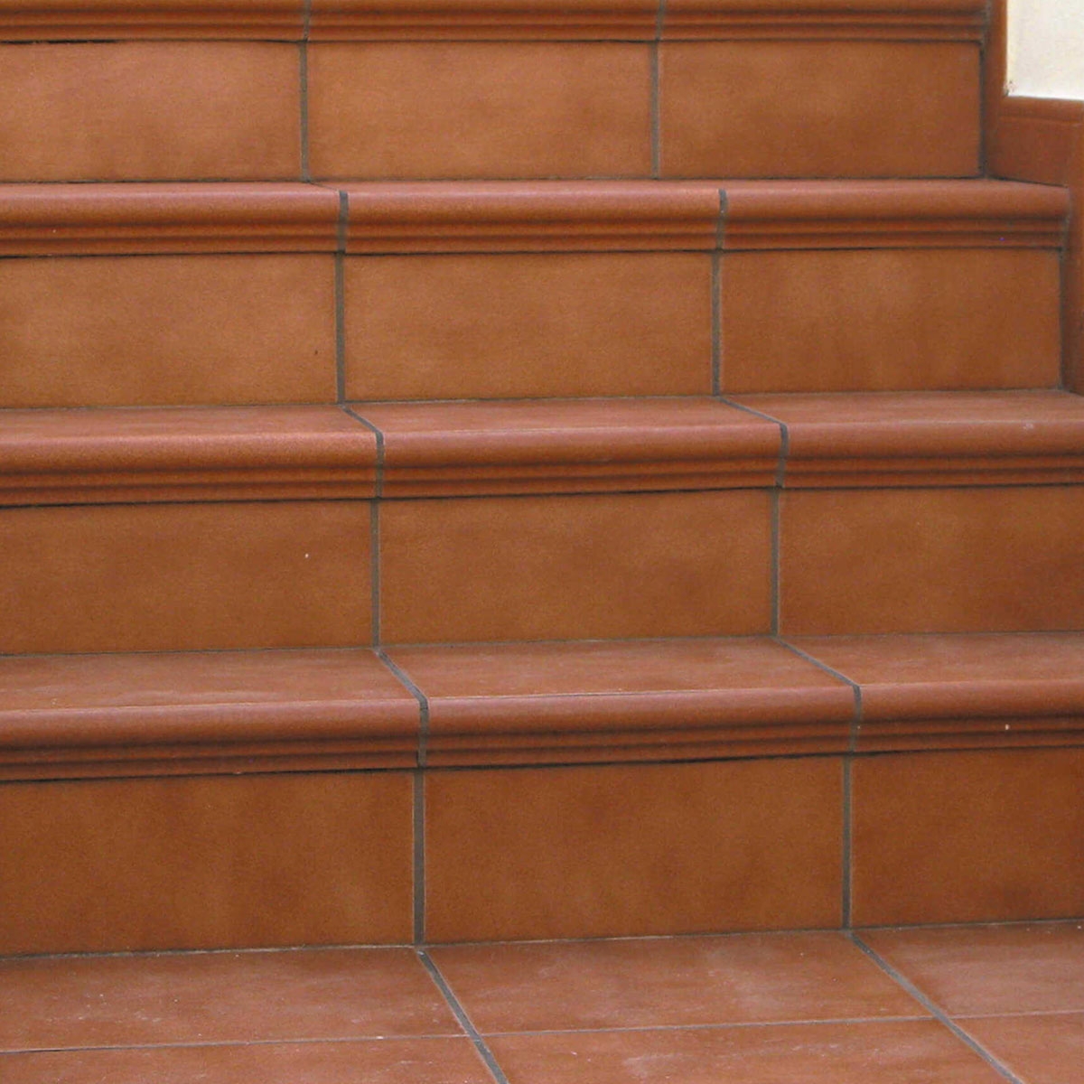 Escalera con Torelo T068 5x36