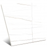 Sahara White 120x120 (Caixa 1,44m2)