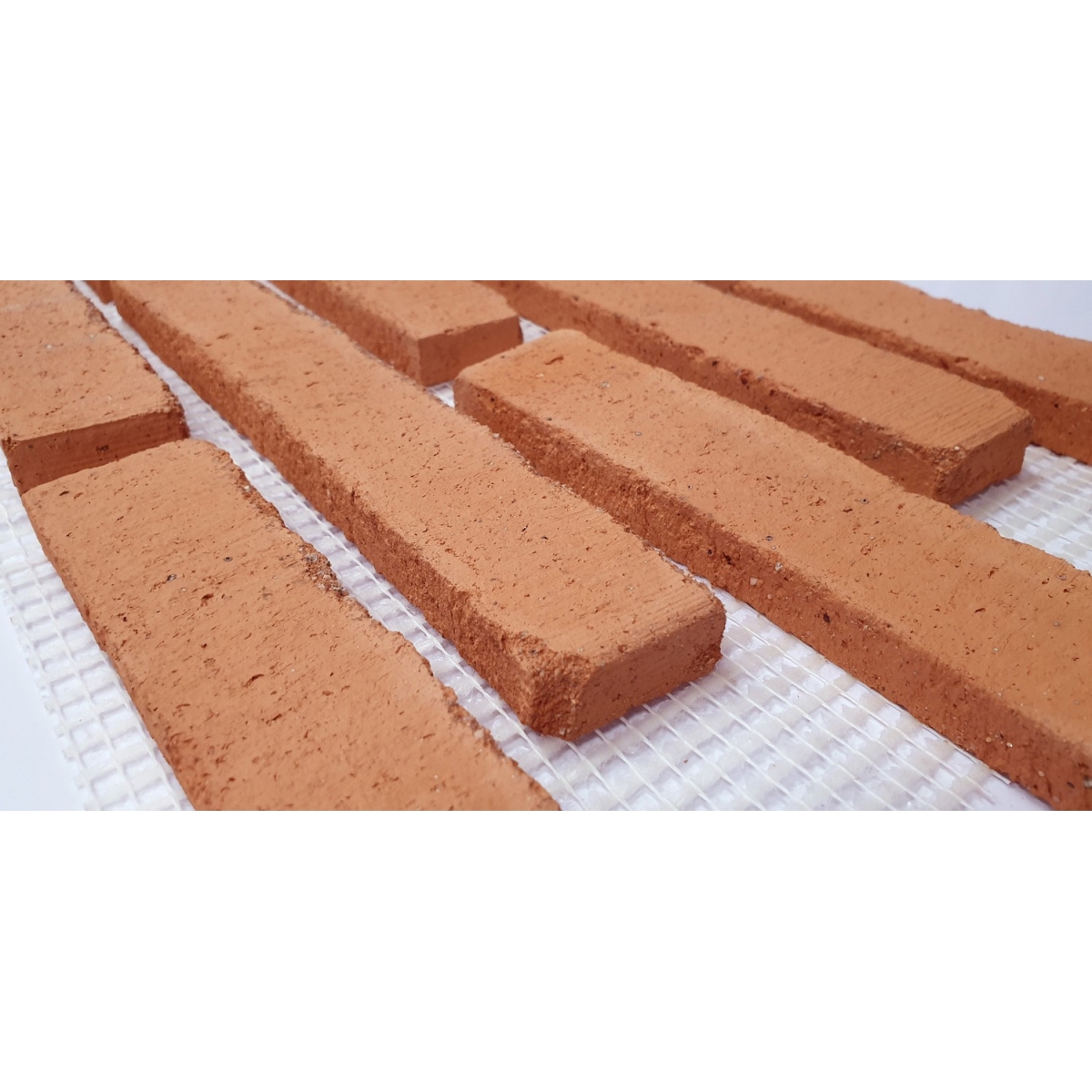 Rustic salmon platelet of (m2) 0