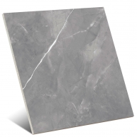Dagma Gray 60,8x60,8 (Boîte 1,48 m2)