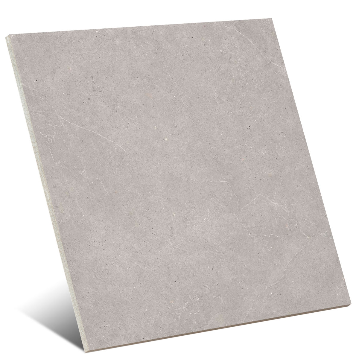 Serenna Grey Non-slip 100x100 (Box 2.00m2)