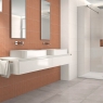 Salle de bain avec revêtement Evoke Clay 6,5x26