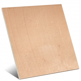 Natural Fire Non-slip 22.5x22.5 (Box 0.81 m2)