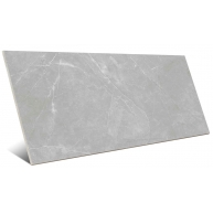Dagma P.R Gray 33,3x55 (Box 1,84m²)