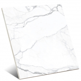 Artemisa Polished White 120x120 (Boîte 1,44m2)