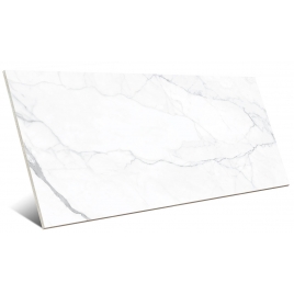 Artemisa Matte White 60x120 (Box 1.44m2)
