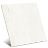 Marbleplay Calacatta 60x60 (Caja 1.08m2)