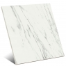 Marbleplay Venato Lux 58x58 (Caja 1.01m2)