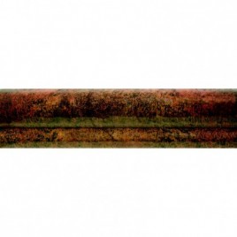 Bologna Cotto Listing 20x5 (ud)