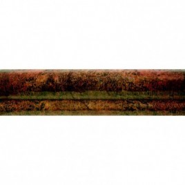 Bologna Cotto Listing 20x5 (ud)