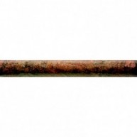 Torelo Bolonha Cotto (ud)