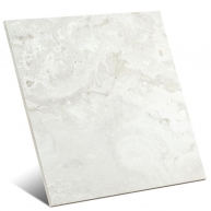 Coliseum White 45x45 (Caixa 1.4203m2)