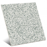 Micro Green Framment 60x60 cm (Box 1,08 m²)