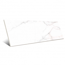 Lesolo-R White 32x99 (Box 1,267m²)