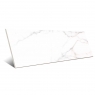 Lesolo-R White 32x99 (Box 1,267m²)