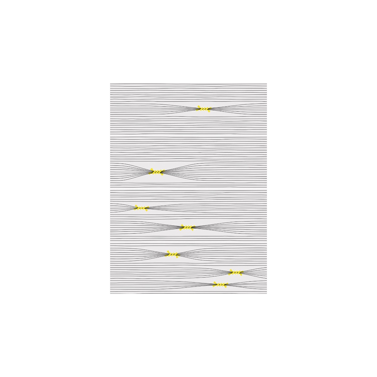 Inuit Otomi-4 (boîte) - Vives