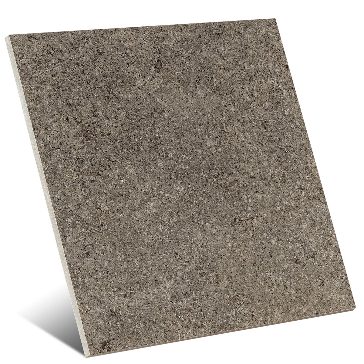 Tibet Olive 60x60 (Boîte 1,44 m2)