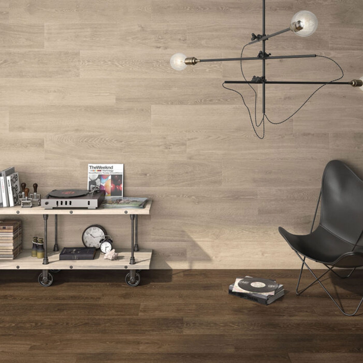 Living Room with Ulmo Beech Coating 23x120