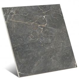 Syrah Naturelle 60x60 (Caisse 1 416 m2)