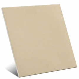 SV Ferro Antiderrapante 60x60 (Caixa 1.08 m2)