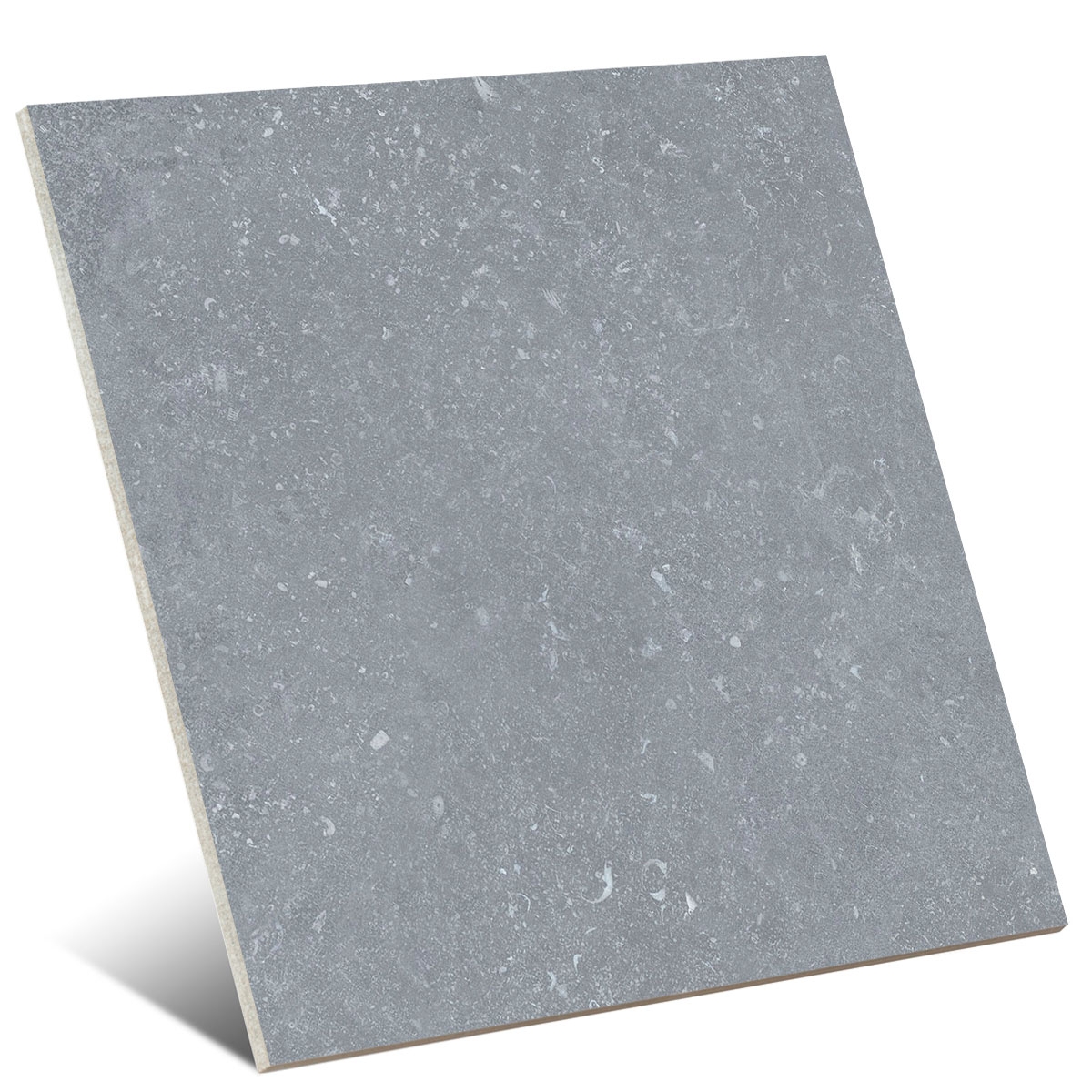 Belgio Blue 100x100 (Boîte 2,00m2) 2