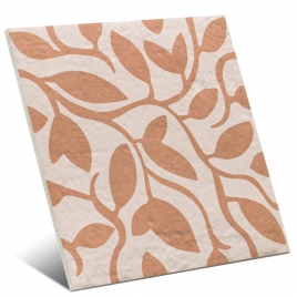 Canem Terra Decor Cinco 20x20 (Caixa 1m2)