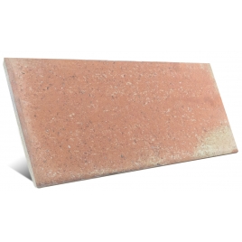 Roots M Cotto Non-slip 11x22 (Box 0.72m2)