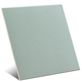 Foto de copy of Canem Terra Branco Season Fosco 20x20 (Caixa de 1m2)