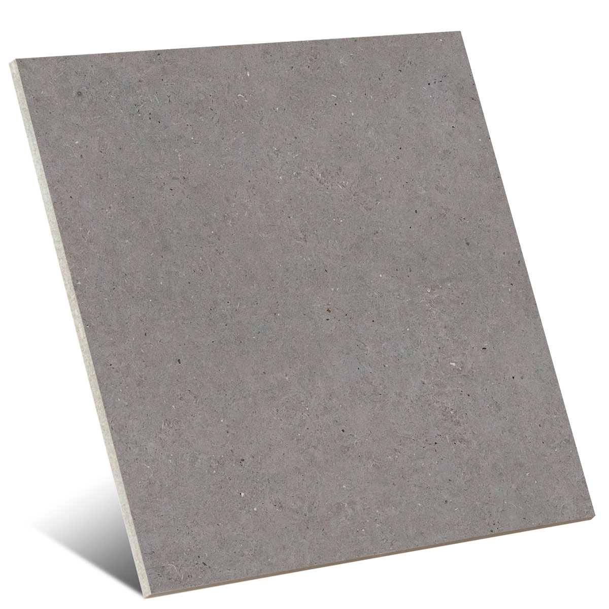 Somport Grey 120x120 (Caja 1.44m2)